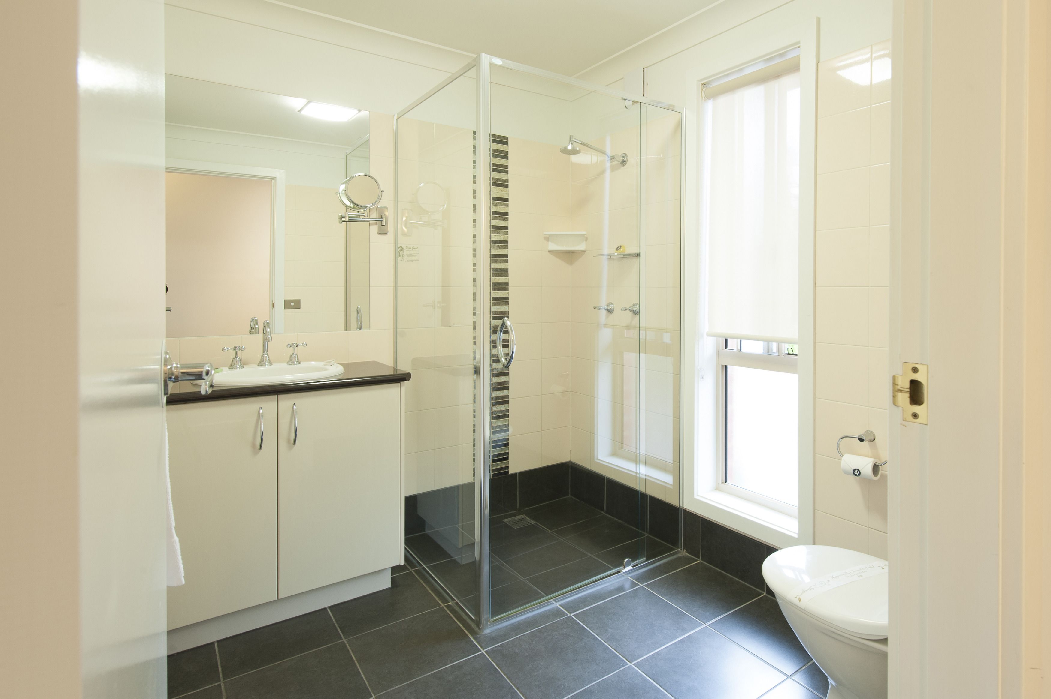 A modern bathroom with a glass shower enclosure, a toilet, and a sink with a mirror.