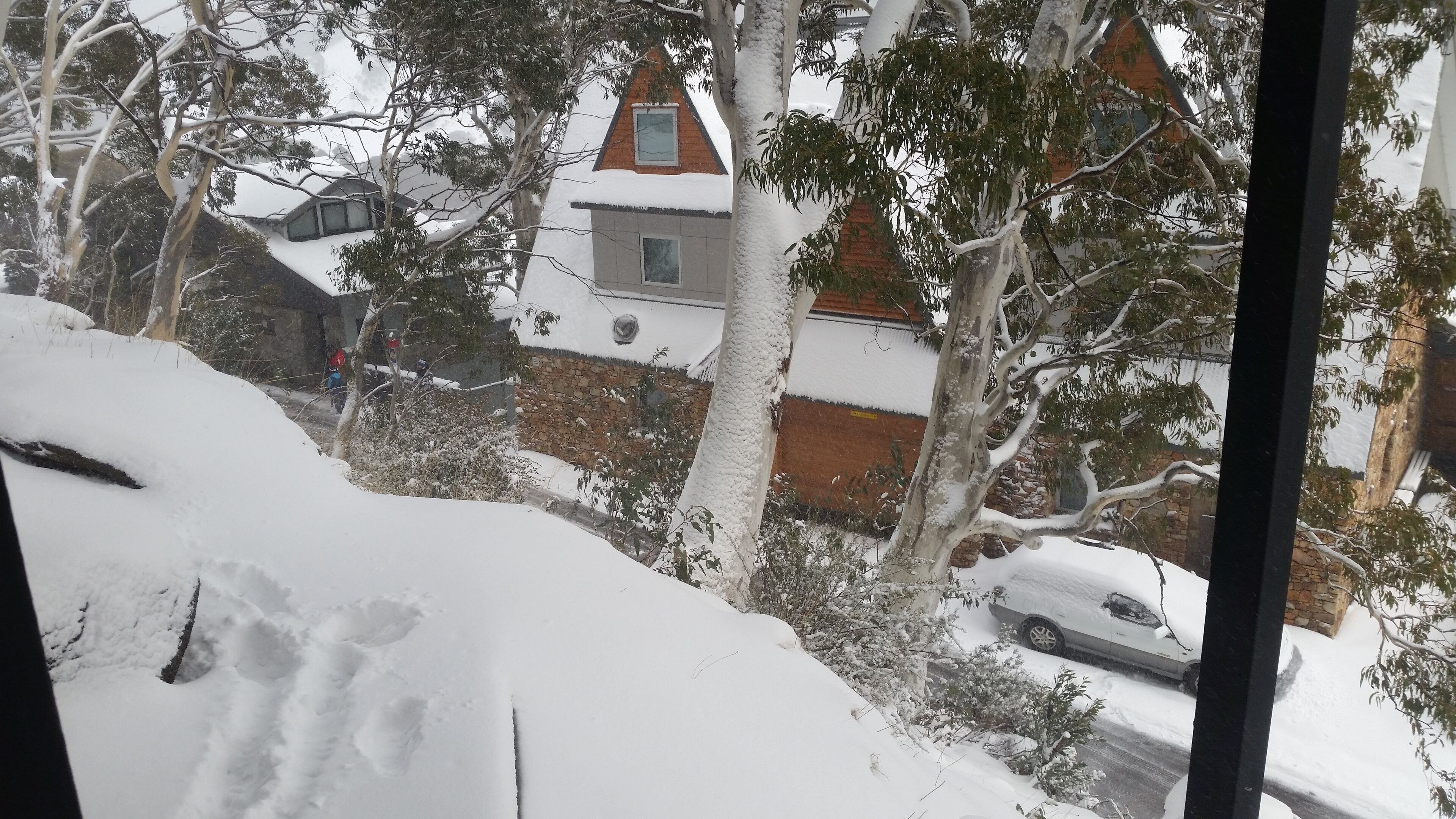 A snowy residential area with houses, trees, and a car.
