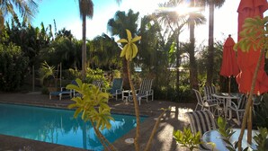 Zona de piscina con sillones de descanso y sombrillas, rodeada de palmeras y plantas tropicales.