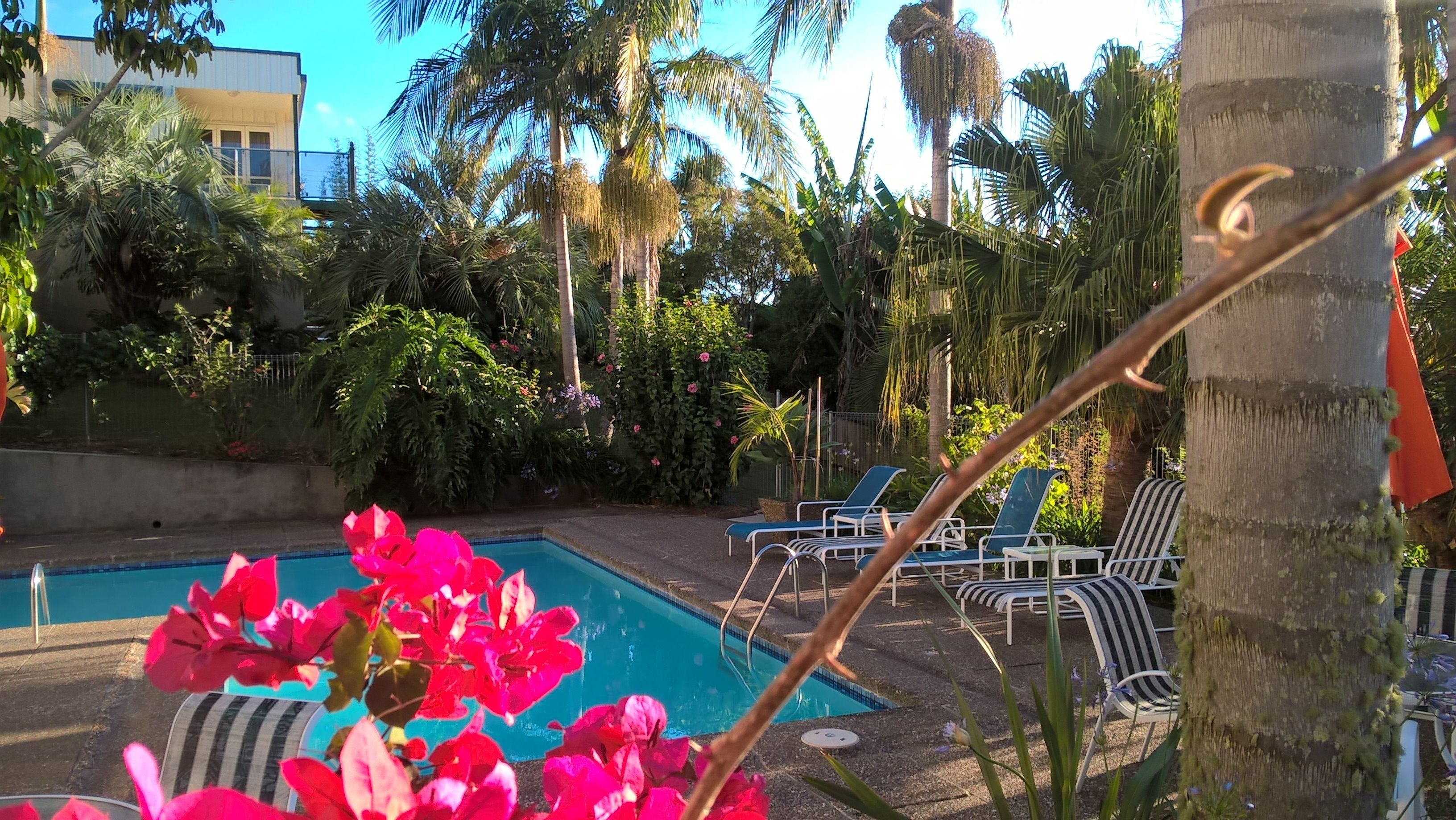 outdoor pool, pool loungers