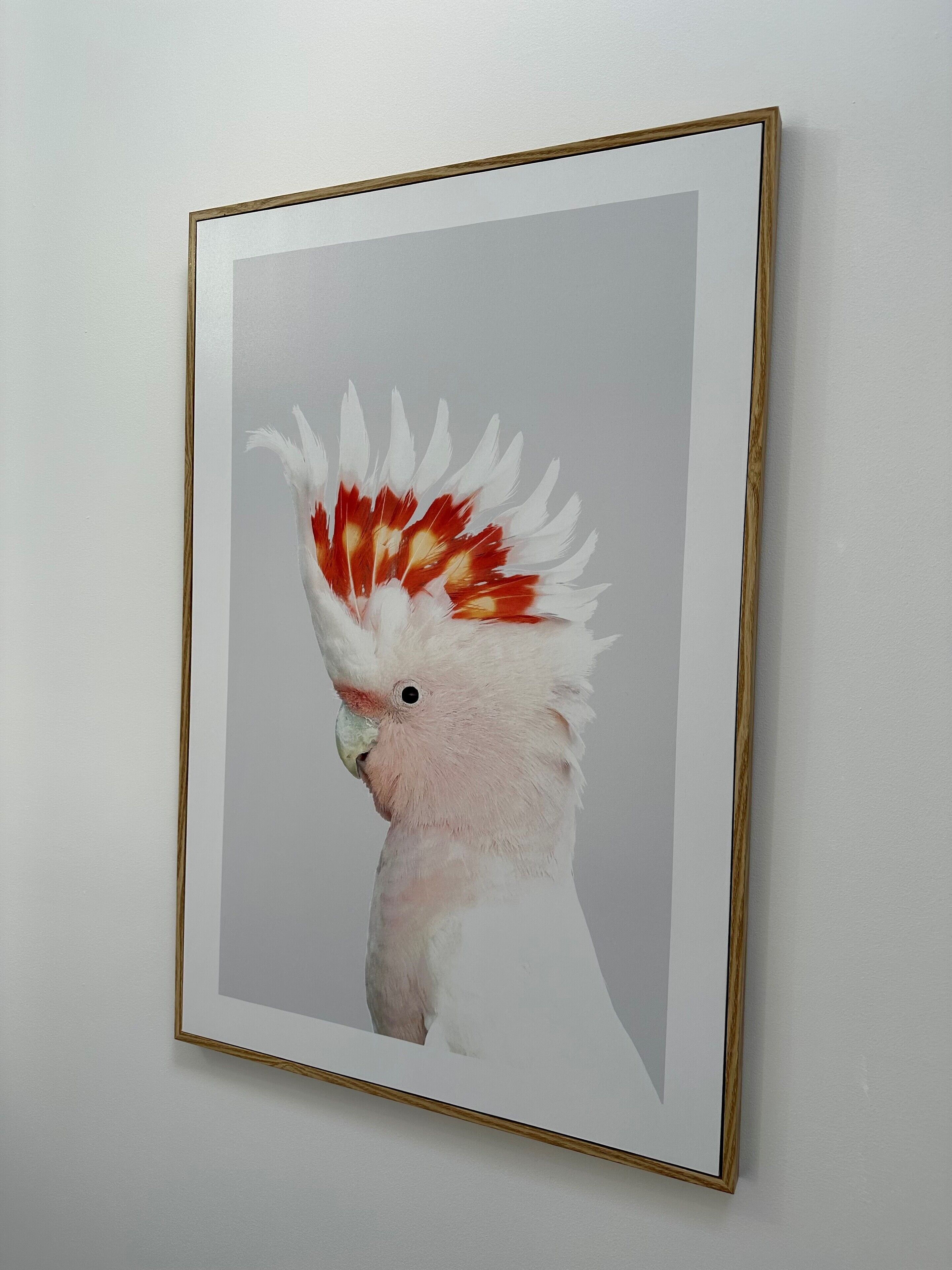 apartment | 3 bedrooms, premium bedding, down duvets, individually decorated