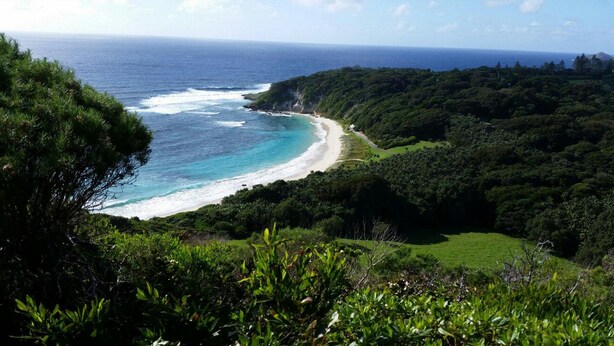 A coastal landscape with a beach, dense greenery, and a clear view of the ocean.
