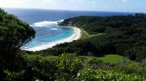 A coastal landscape with a beach, dense greenery, and a clear view of the ocean. - Somerset Apartments Lord Howe Island (Lord Howe Island)
