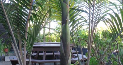 Blue Wave Motel Mount Maunganui