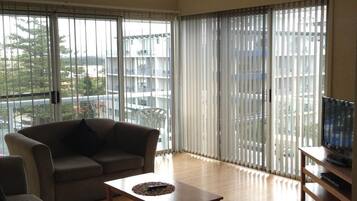 Flat-screen TV, DVD player