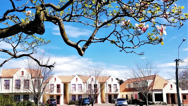 Eine Reihe von Reihenhäusern, bewölkter, blauer Himmel, eine Straße im Vordergrund und ein Baum mit blühenden Blüten.