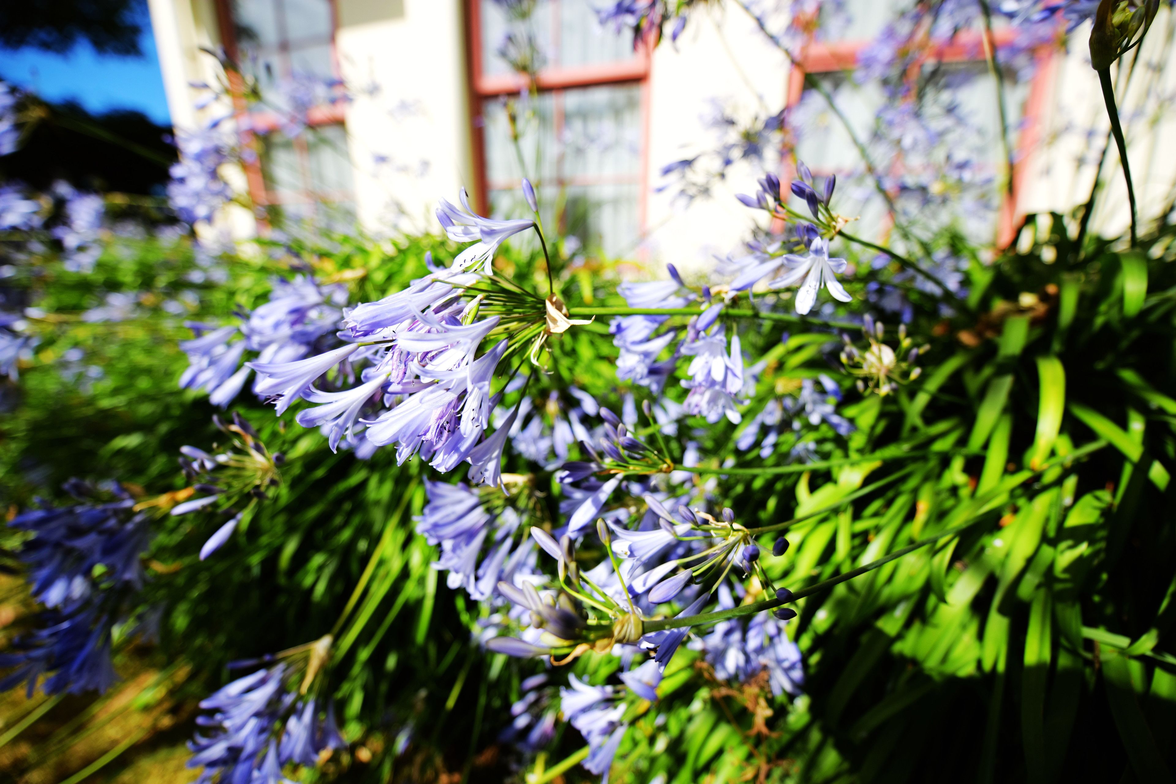 Foto - Addington Stadium Motel