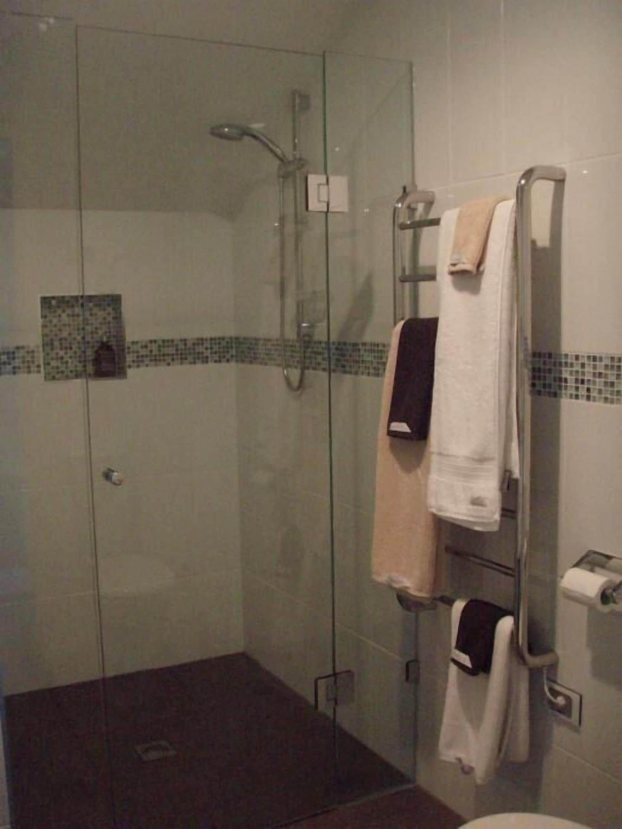 A glass-enclosed shower area with a towel rack holding multiple towels.