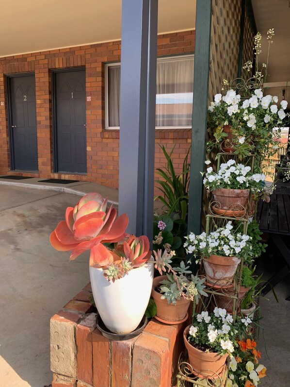 Courtyard - Peter Allen Motor Inn (Tenterfield)