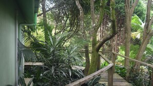 A wooden staircase surrounded by lush tropical vegetation. - Linger A While Chalet (Tamborine Mountain)