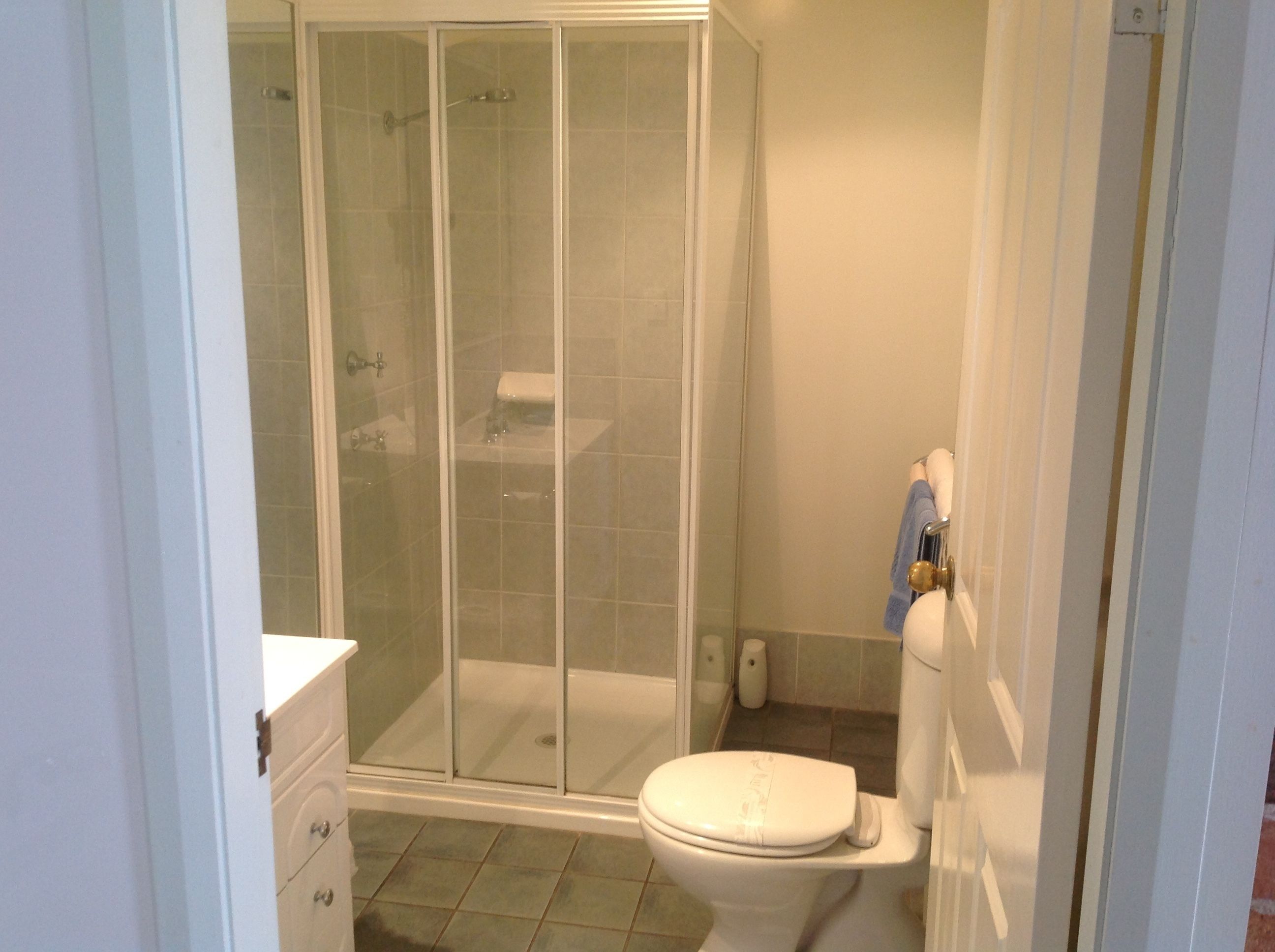 Een badkamer met een douche in een glazen cabine, een toilet en een wastafel.