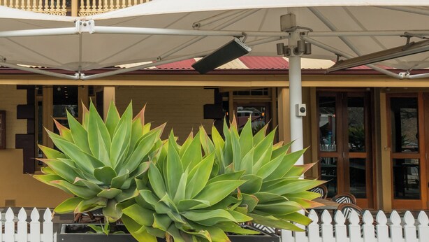 The Victoria Hotel with a balcony, outdoor seating area, and a large plant in the foreground. - Victoria Hotel - Strathalbyn (Strathalbyn)