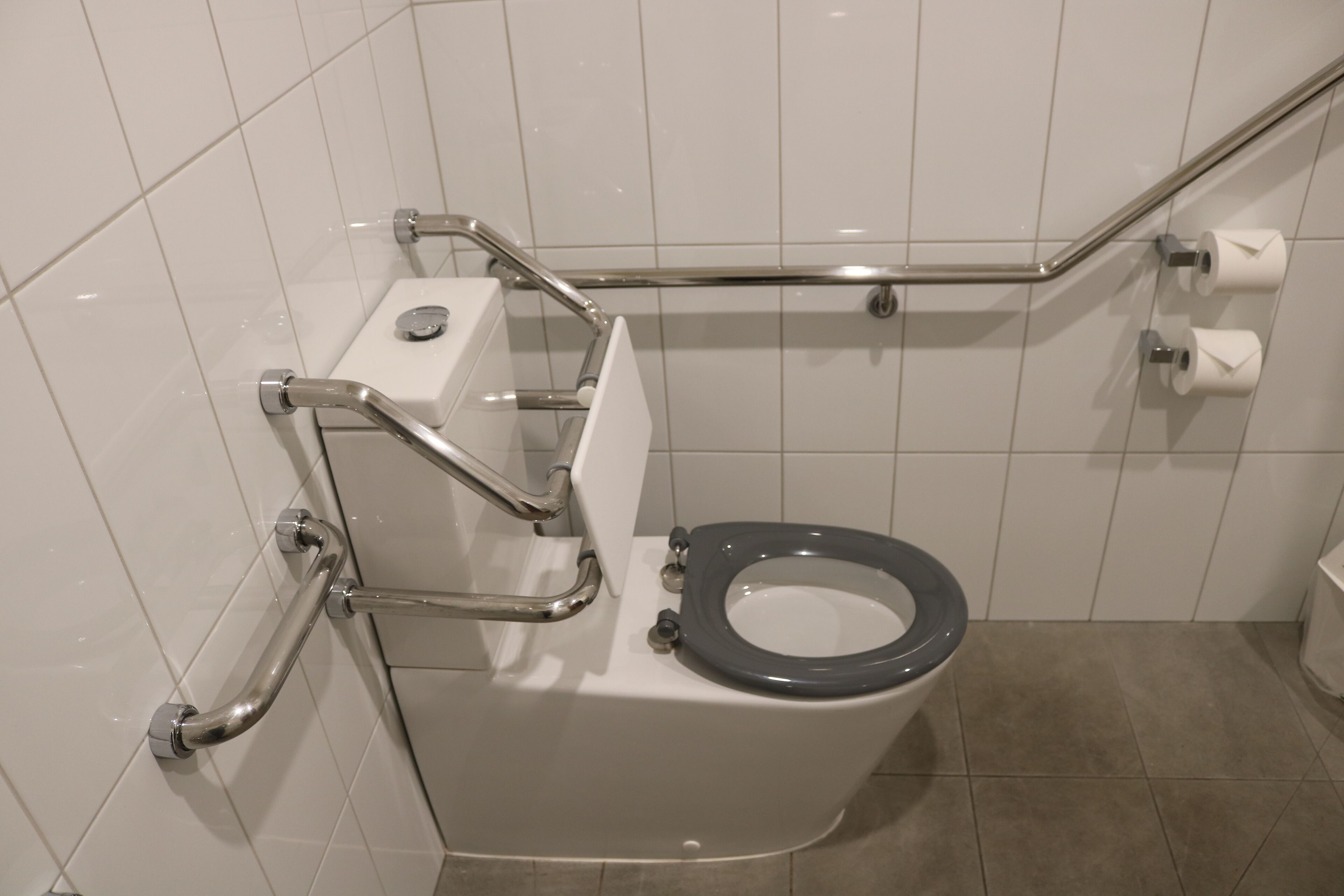 Un bany amb vàter blanc, barres de sujecció i un roule de paper higiènic a la paret.