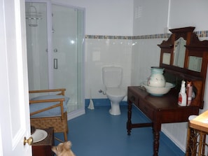 A bathroom with a glass shower enclosure, a toilet, a sink with a mirror, and a wooden chair.