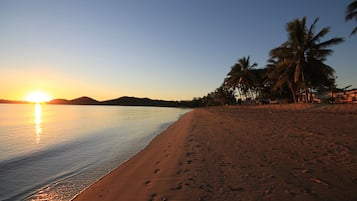 Una playa con huellas que conducen al agua, palmeras y un atardecer de fondo.