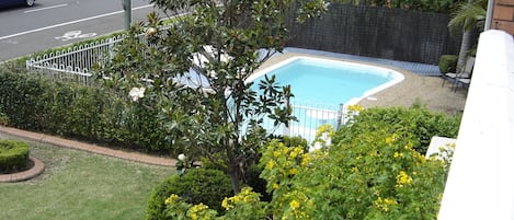 Outdoor pool, open 8:00 AM to 9:00 PM, sun loungers