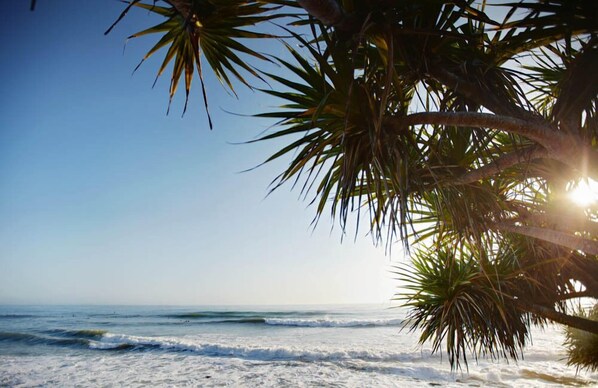 Beach nearby - Langley Park Apartments (Maroochydore)