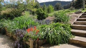 Un jardín con diversas plantas y flores, una cerca de madera y un conjunto de escalones de piedra que conducen a un nivel superior.