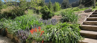Edelweiss Cottage B&B
