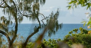 Front of property - Aqua Promenade Beachfront Apartments (Sunrise Beach)