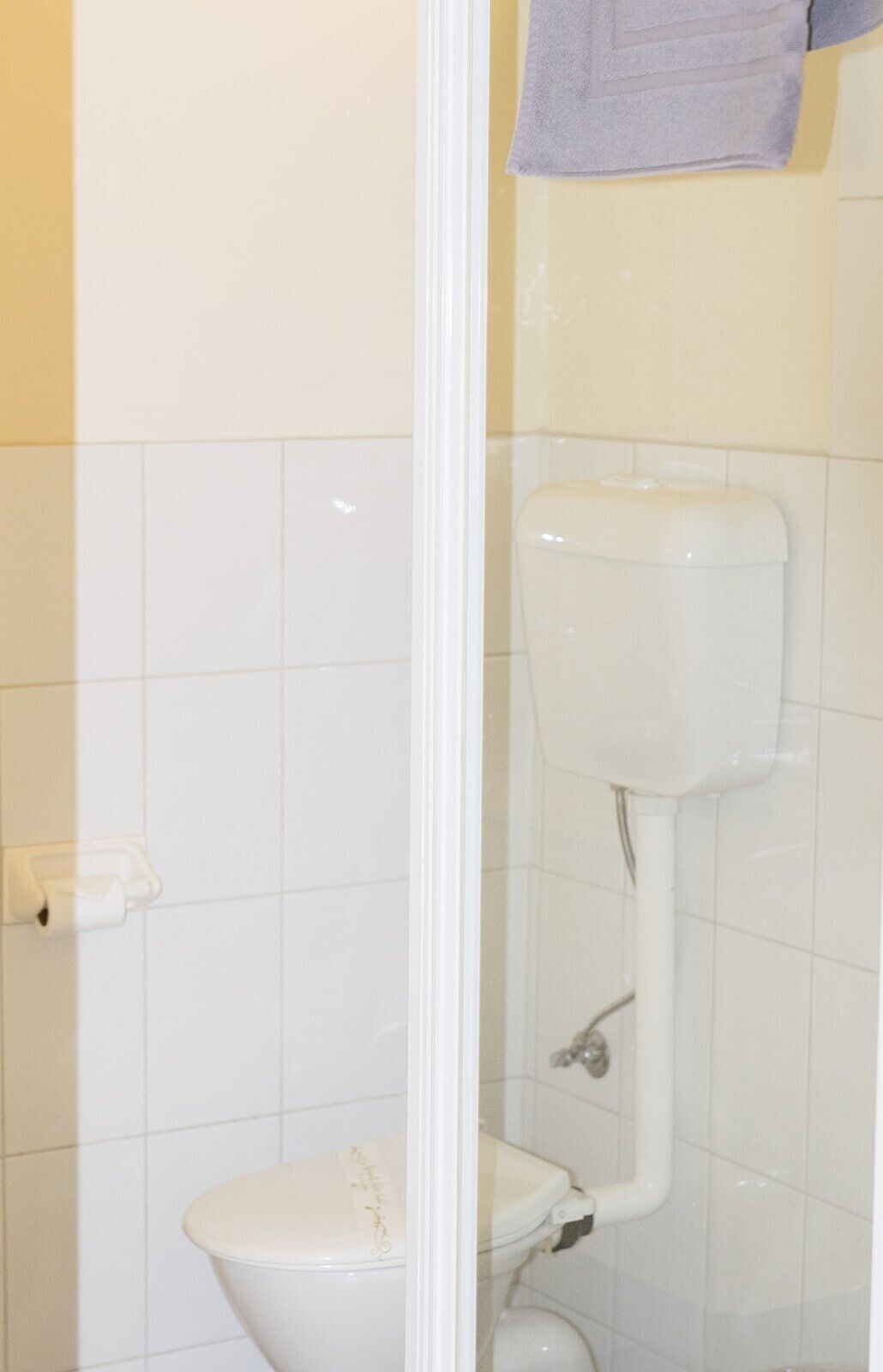 A bathroom with a toilet, a shower enclosure, and a towel hanging on the wall.