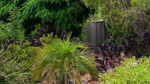 A garden with a variety of plants, a palm tree, and a blue planter box. - Echuca Motel (Echuca)