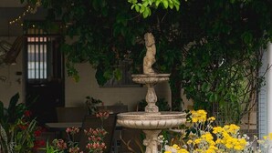 A garden with a stone fountain, various potted plants, and yellow flowers. - Echuca Motel (Echuca)