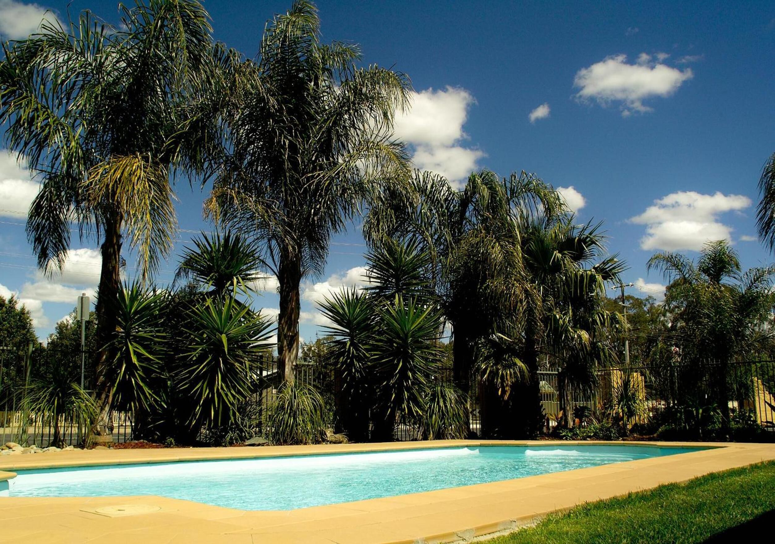 Una piscina rodeada de palmeras bajo un cielo azul despejado.