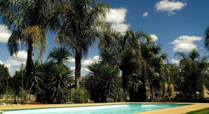 A pool surrounded by palm trees and a clear sky. - Echuca Motel (Echuca)
