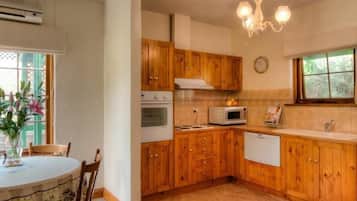 Flat-screen TV, fireplace, DVD player