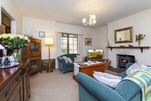 平板电视、壁炉、DVD 播放器