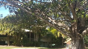 Unclassified image, 3 of 14, button - Forest Glen Holiday Resort (Forest Glen)
