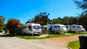 A row of RVs parked in a lot with trees in the background. - Acclaim Swan Valley Tourist Park (West Swan)
