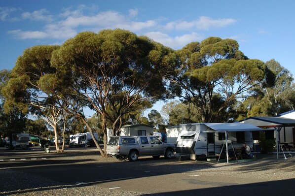 Un camping con vehículos recreativos y automóviles estacionados, rodeado de árboles.