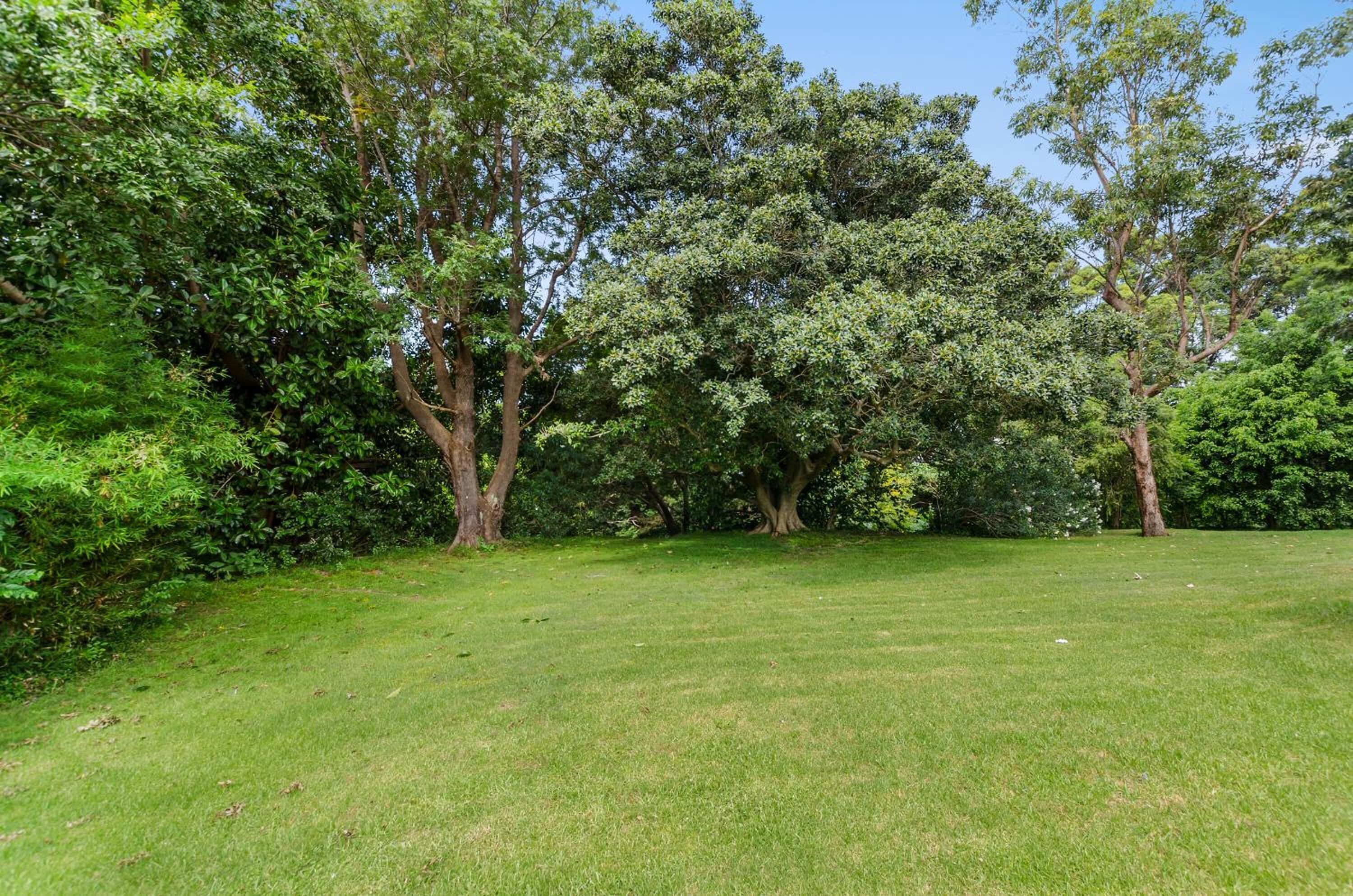 A grassy area with trees and bushes.