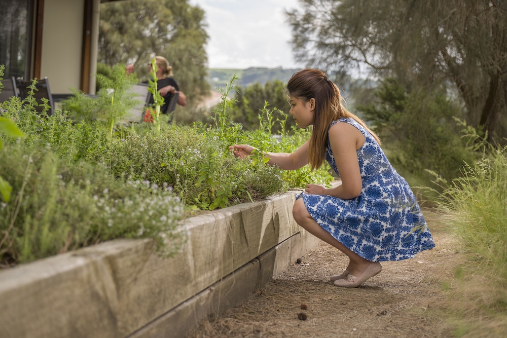 YHA Apollo Bay Eco by null