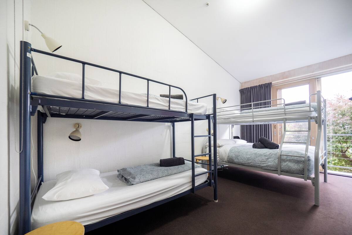 A dormitory room with bunk beds, a desk, and a window with curtains.