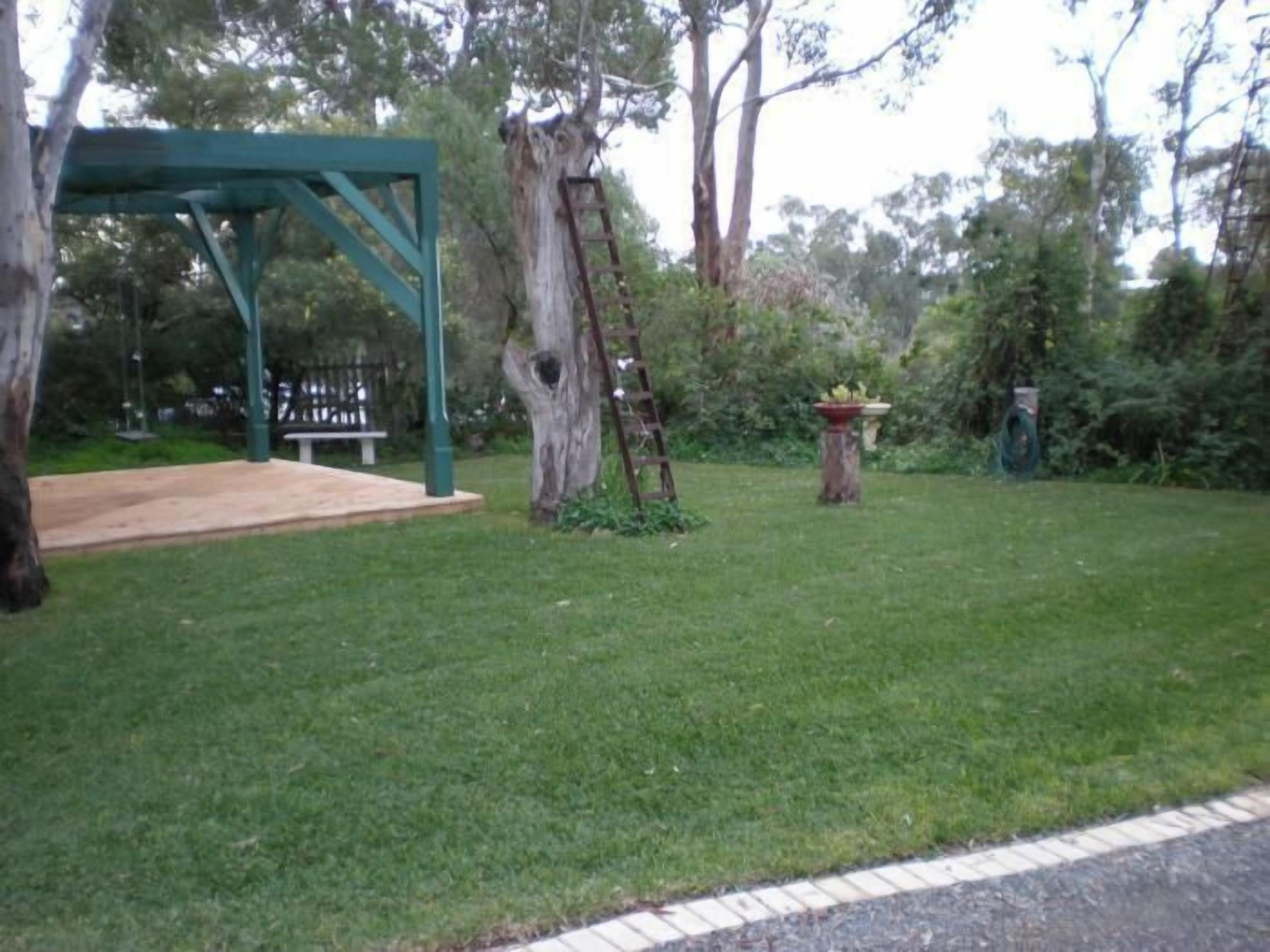 A park with a green gazebo, a tree with a ladder, and a small table with plants.