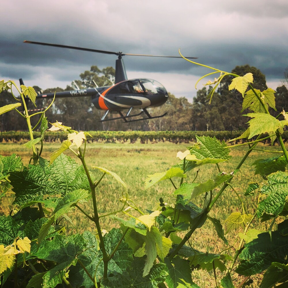 YHA Grampians Eco by null