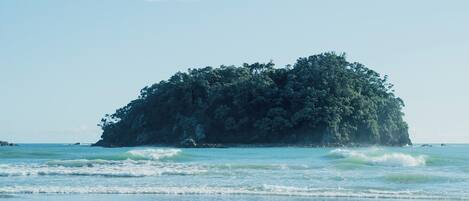 A beach with a small island covered in dense vegetation.