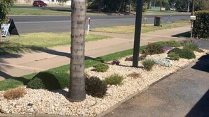 Un área ajardinada con una palmera, grava y plantas pequeñas.