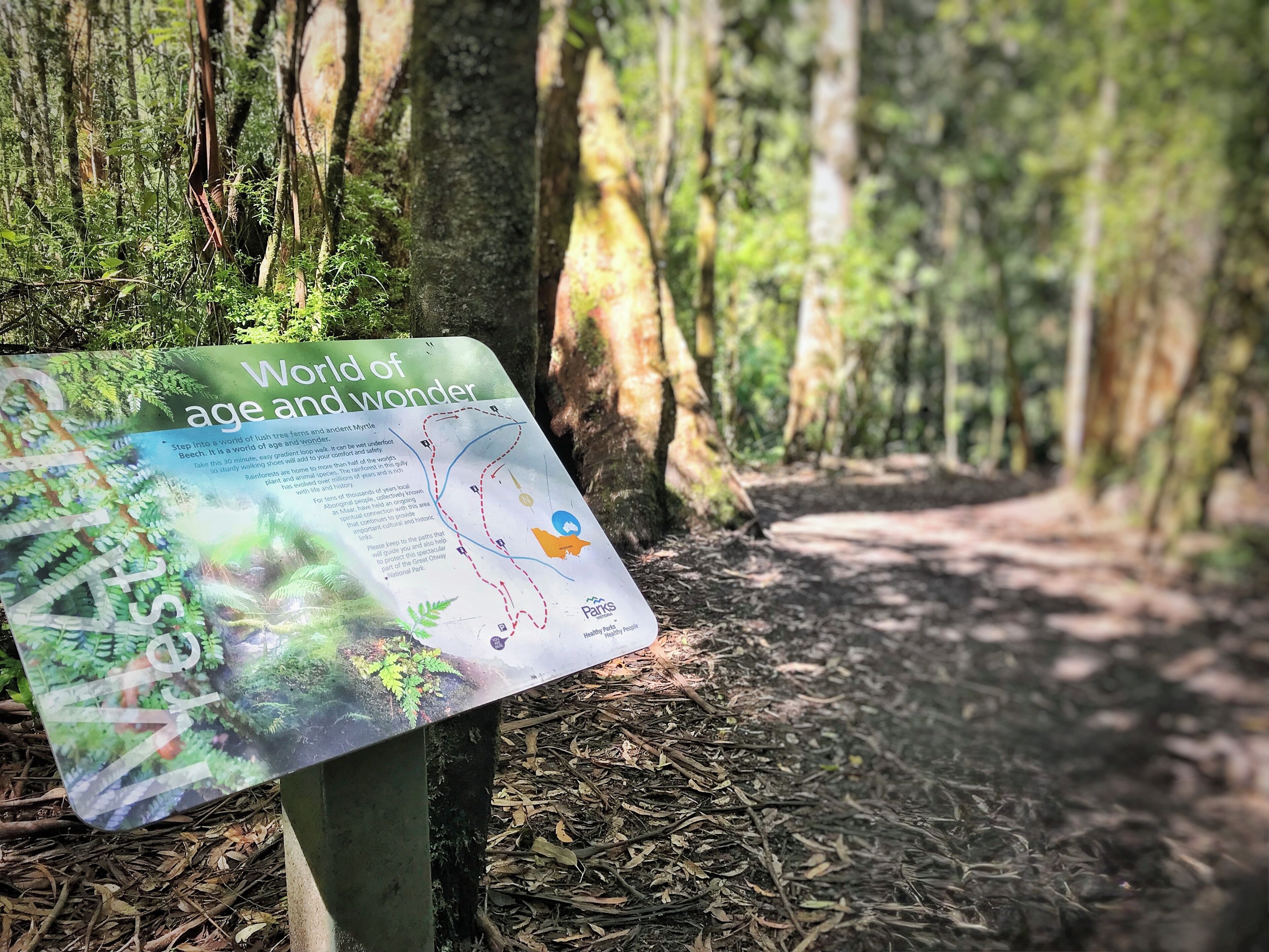 Un indicador de sendero en un bosque, con un mapa y texto.