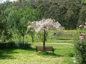 Garden - Halls on Falls Homestead (Strath Creek)
