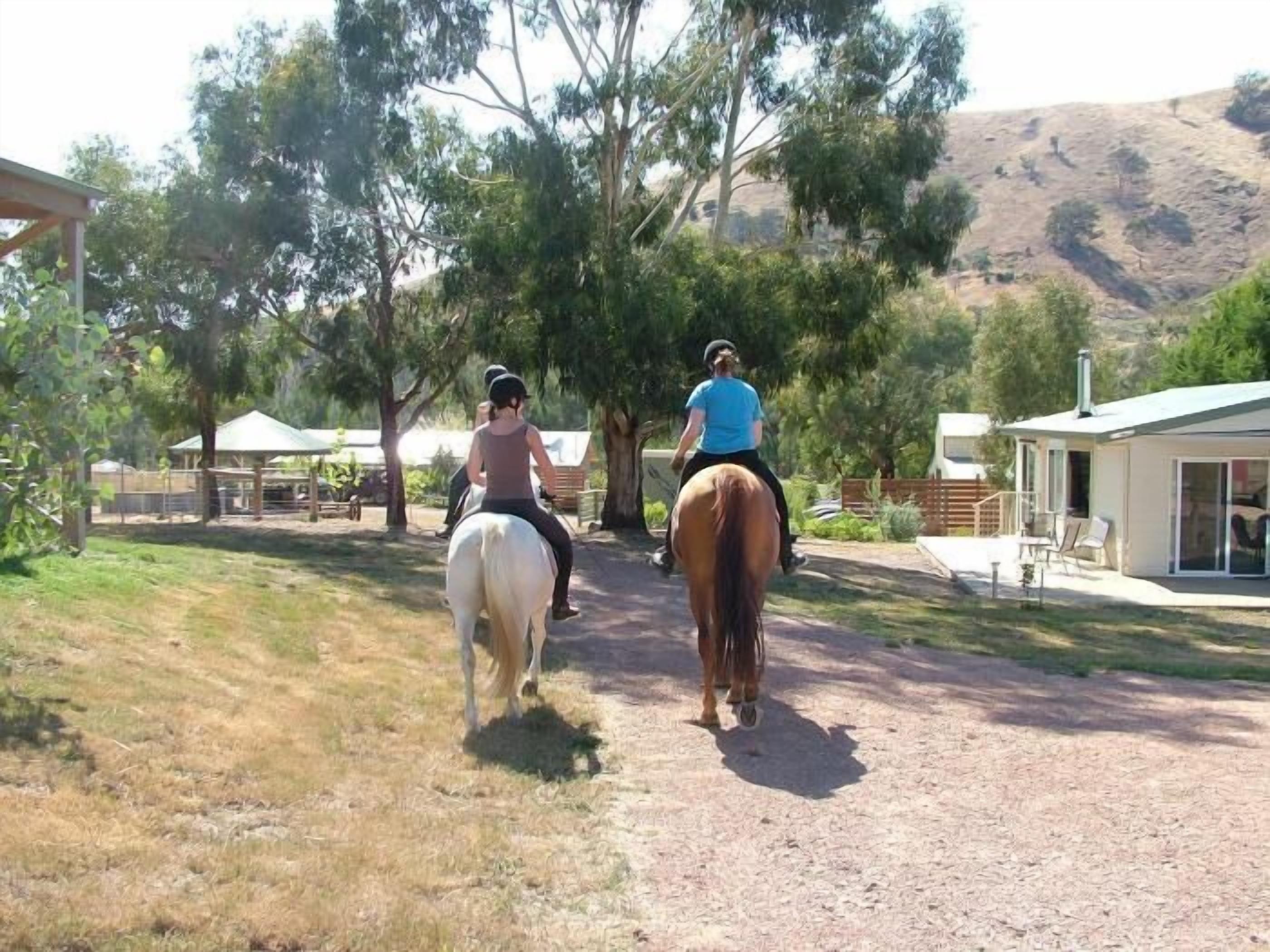 A dirt path with two riders on horses, surrounded by trees and a building with a covered area.