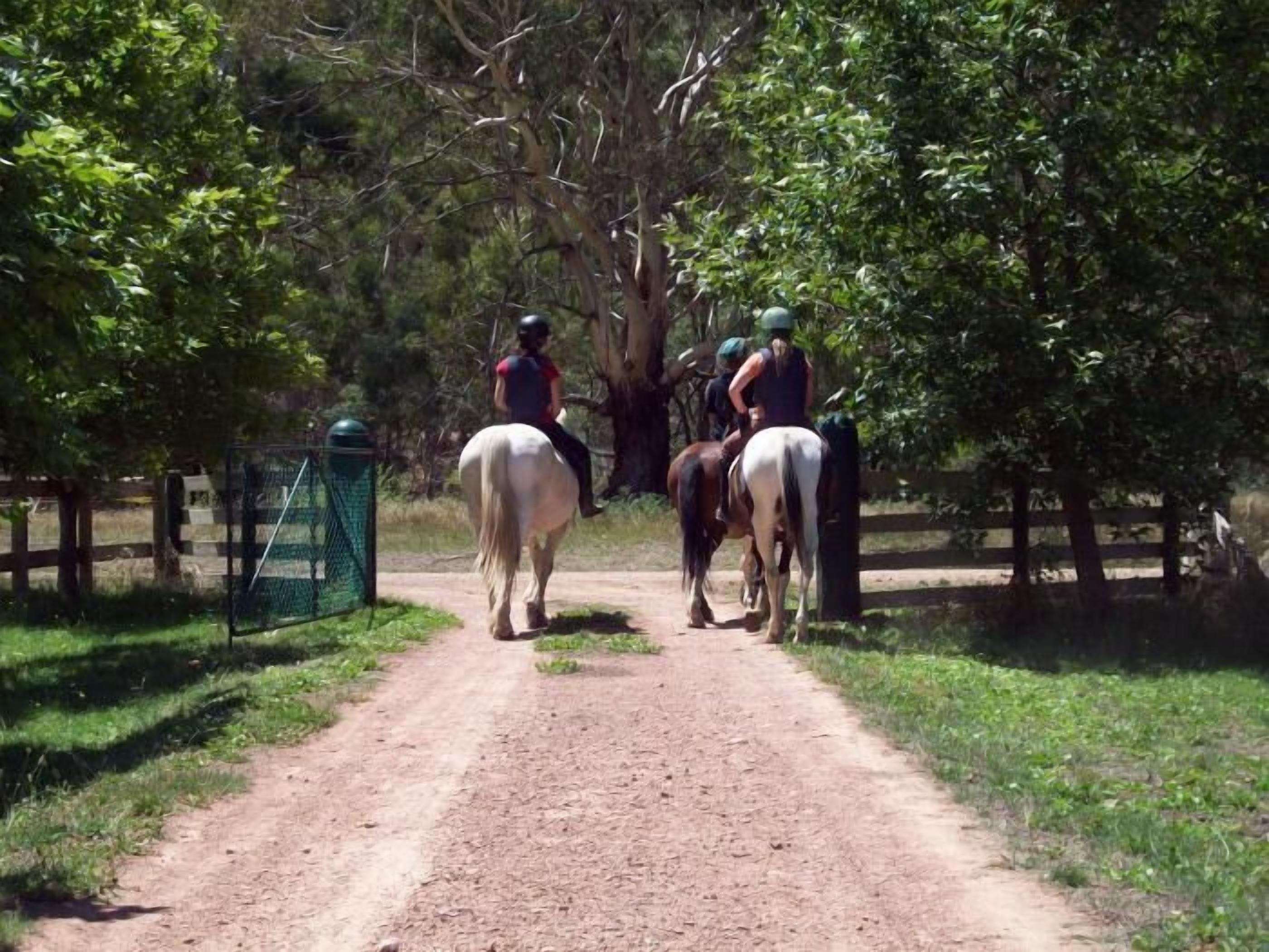 Uma trilha de terra com dois cavaleiros a cavalo.