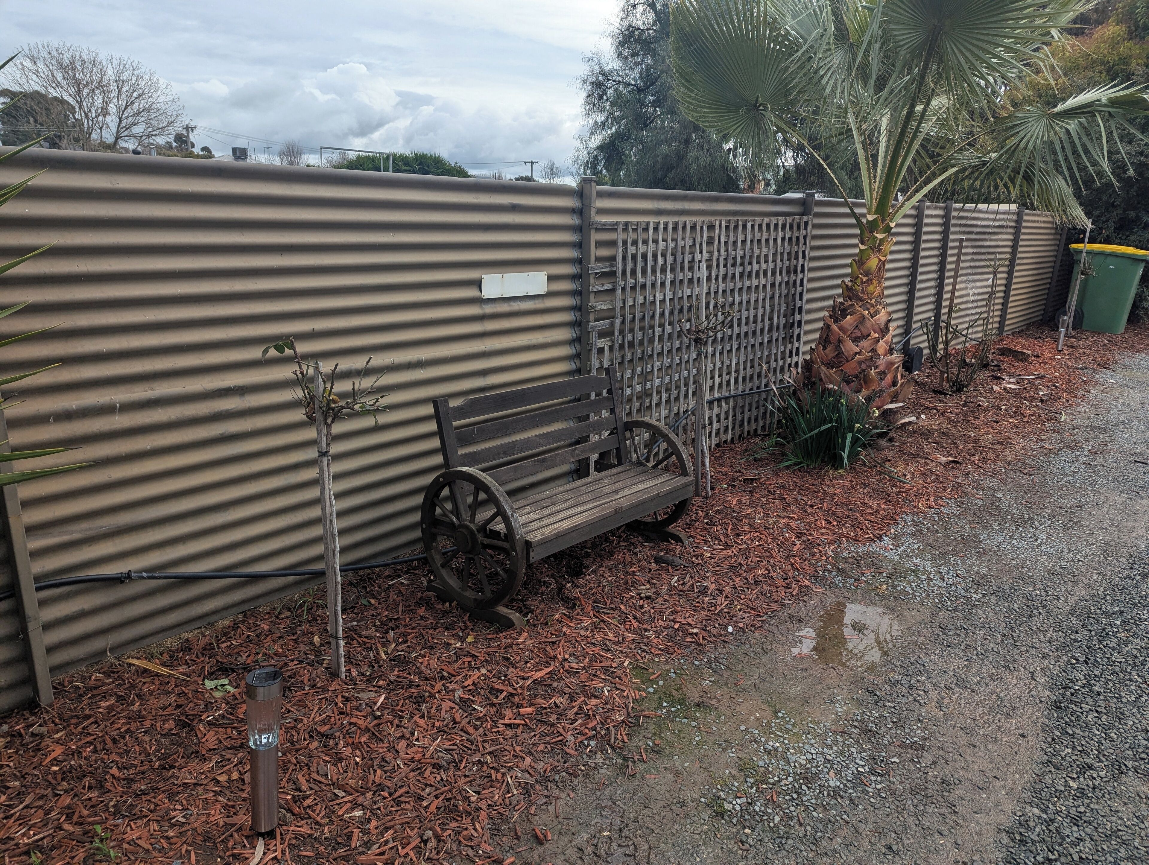 Una pared de metal corrugado, un banco de madera y una palmera.