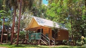 Een houten hut met een schuin dak, omgeven door weelderige begroeiing.