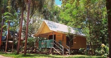A wooden cabin with a sloped roof, surrounded by dense foliage.