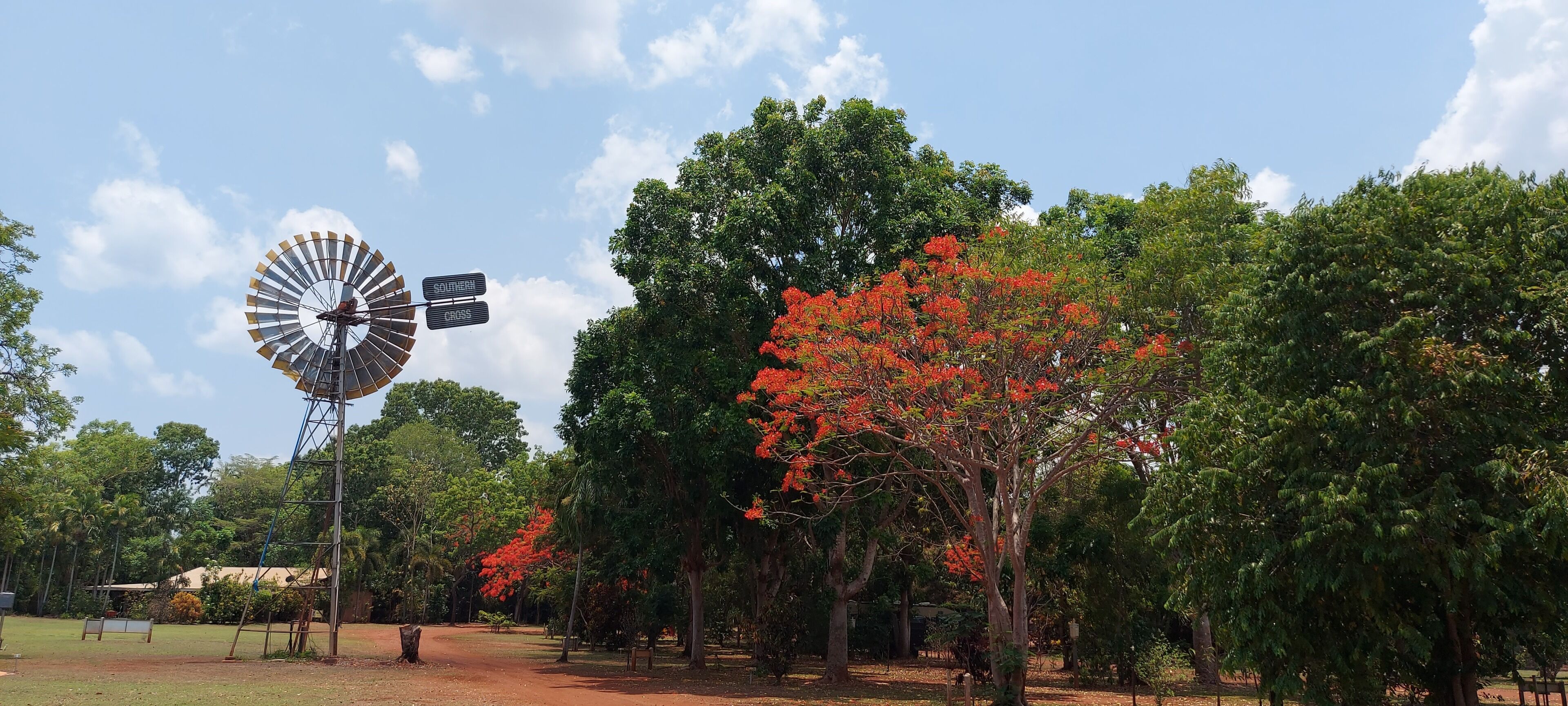 A windmill with directional signs, surrounded by lush greenery and trees with red flowers.