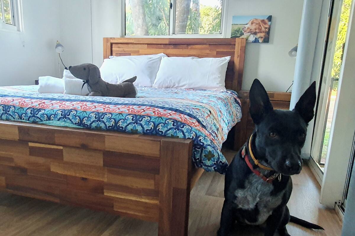 Basic Cabin